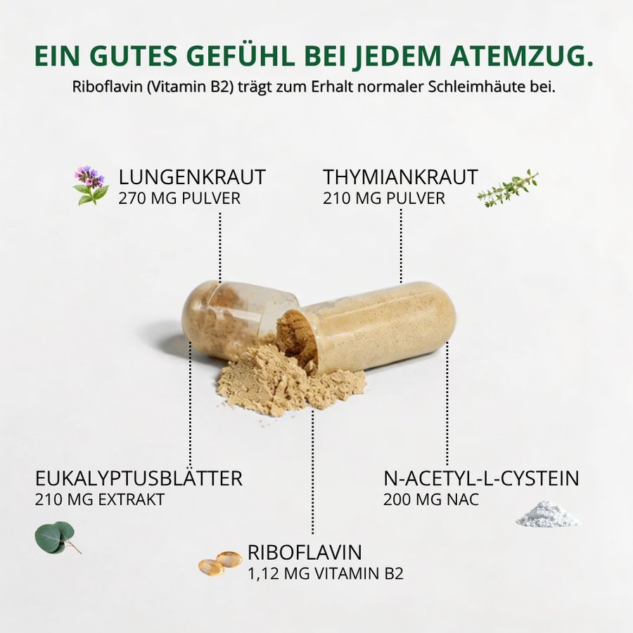 Lungenkraut Plus