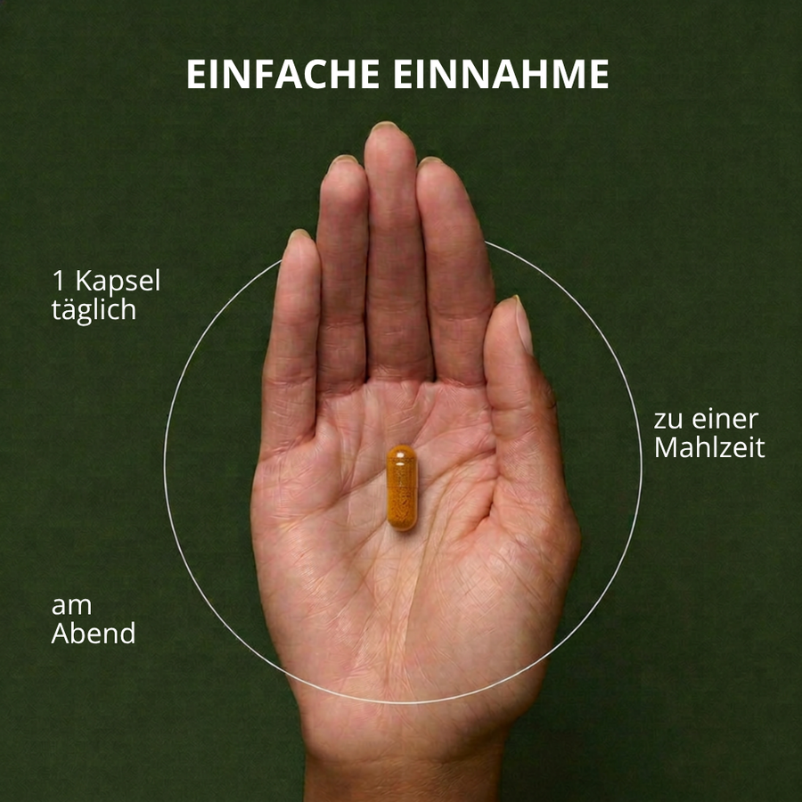 5 HTP