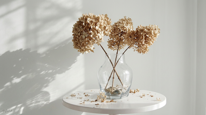 Ernährung bei Histaminintoleranz: Diese Lebensmittel tun dir gut – und diese solltest du meiden