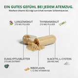 Lungenkraut Plus