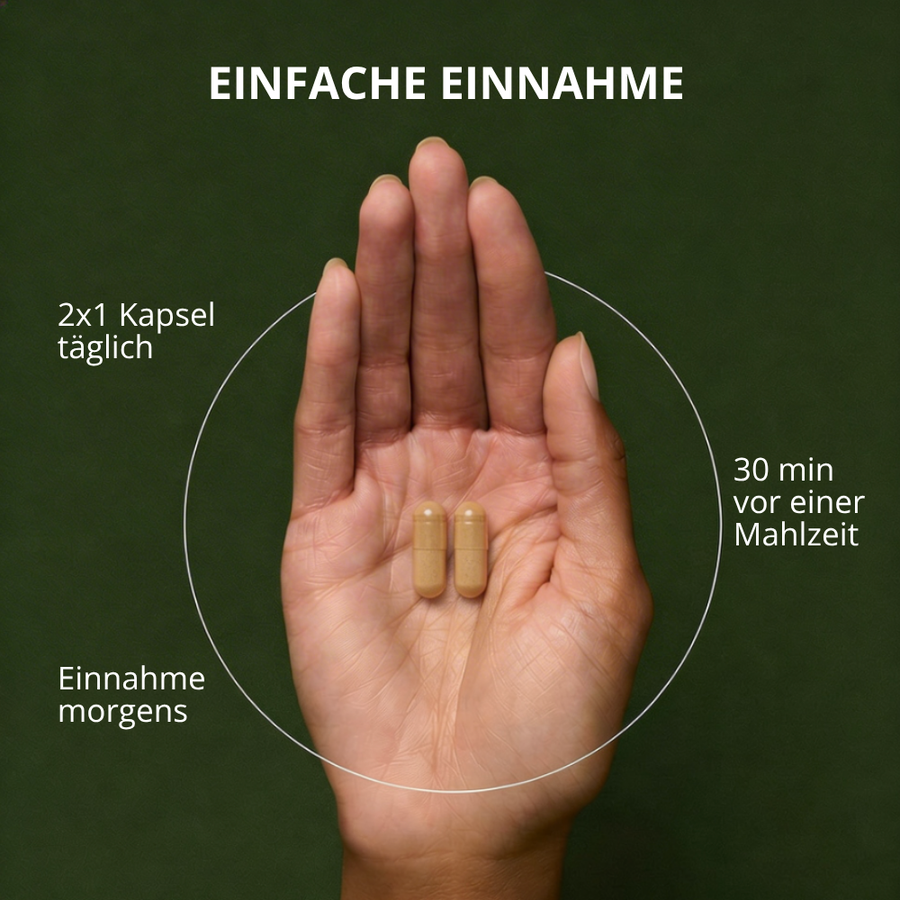 Lungenkraut Plus