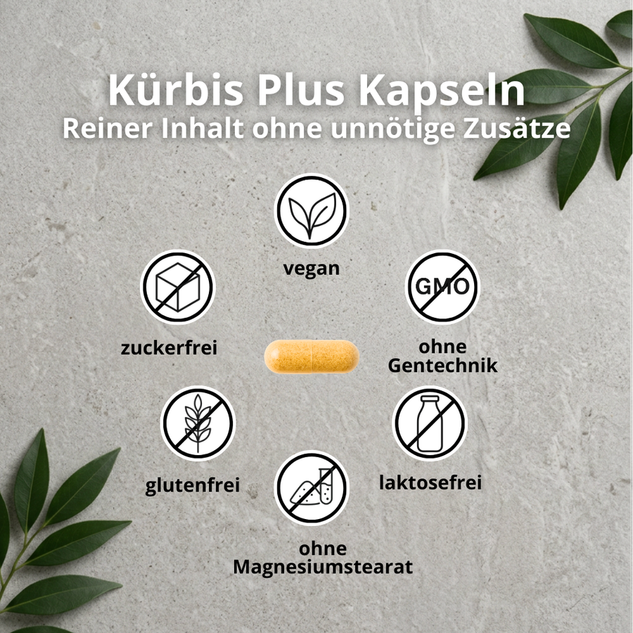 Kürbis Plus