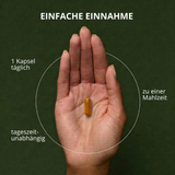 Augen Plus