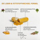 Leber Plus