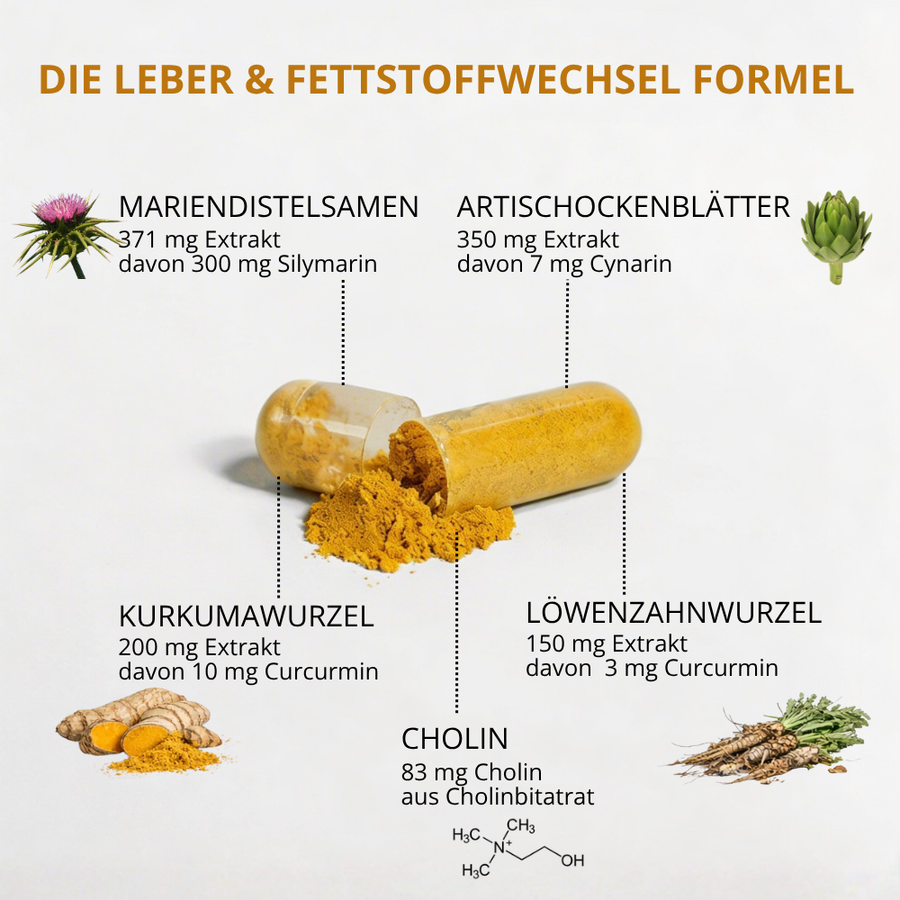 Leber Plus