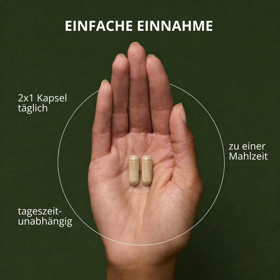 Kürbis Plus