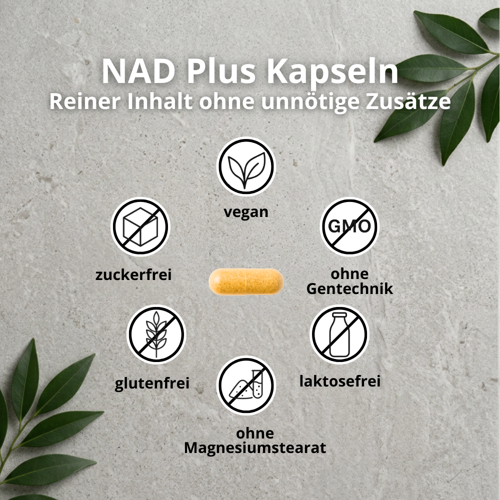 NAD Plus