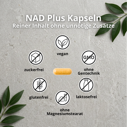 NAD Plus