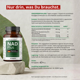 NAD Plus