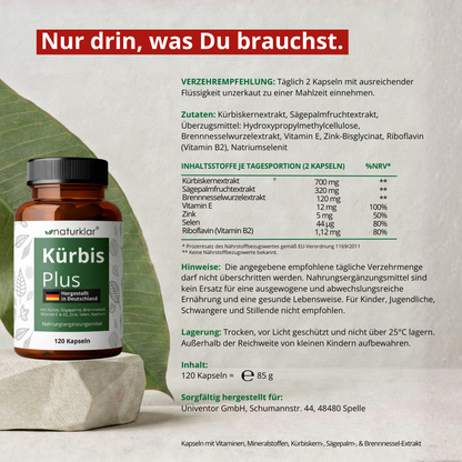 Kürbis Plus